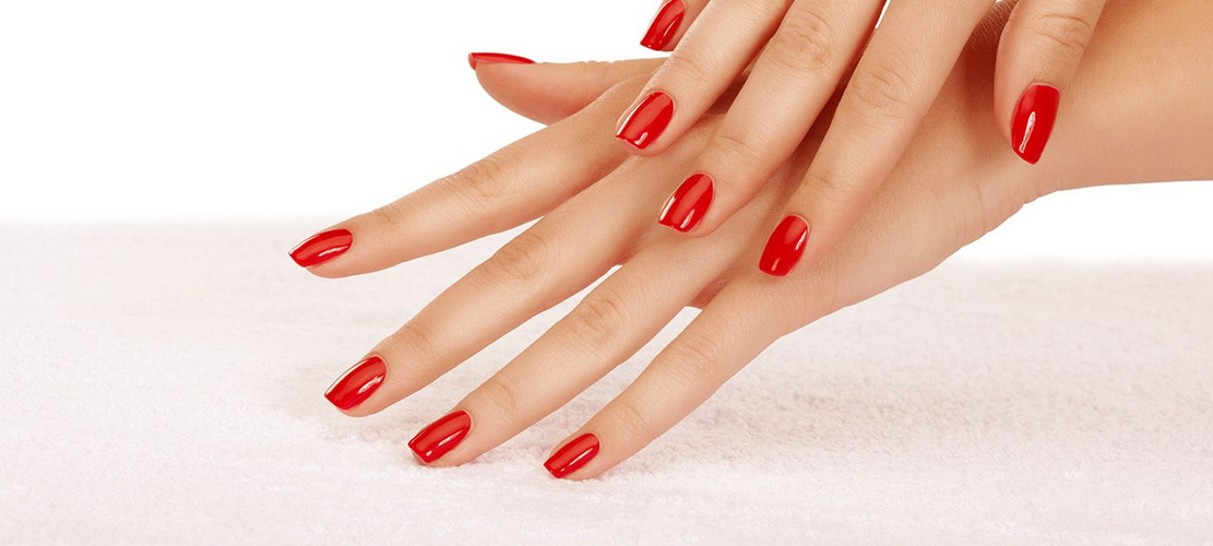 que sont les cuticules?